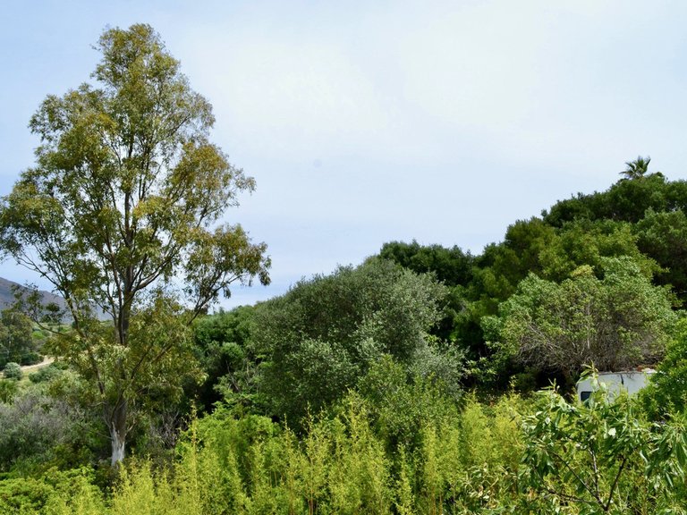 Plot for Sale in Estepona, Malaga 9