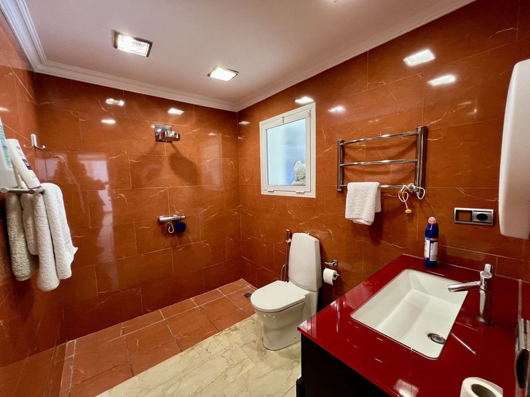 Villa for Sale in El Chaparral, Malaga 48