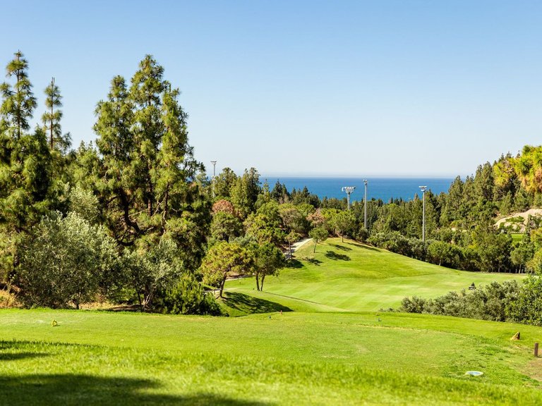 Villa for Sale in El Chaparral, Malaga 61