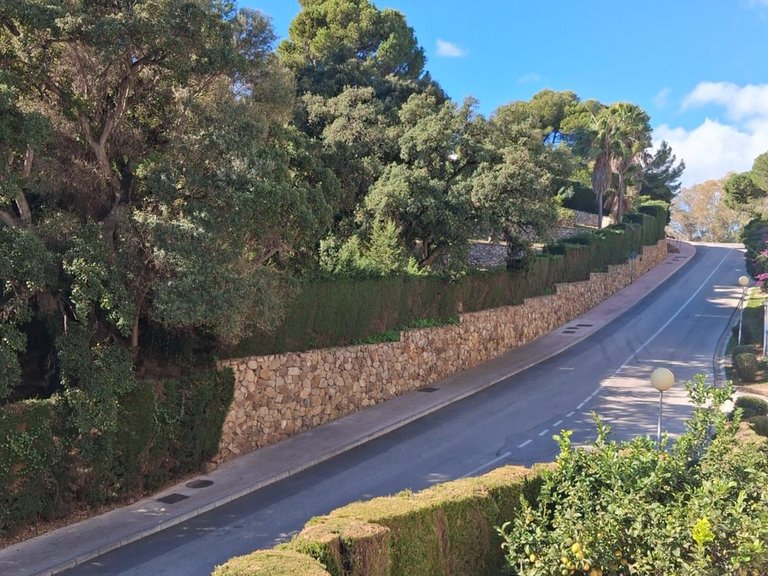 Villa for Sale in Calahonda, Malaga 37