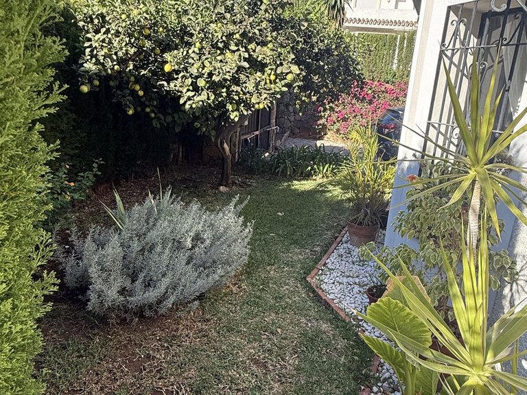 Villa for Sale in Calahonda, Malaga 8