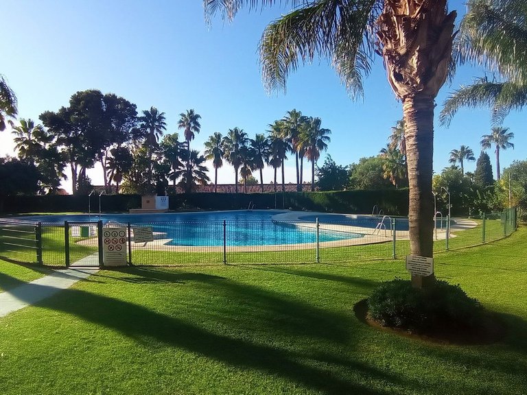 Apartment for Sale in Calahonda, Malaga 7
