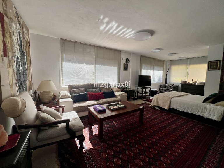 Villa for Sale in Marbella, Malaga 20