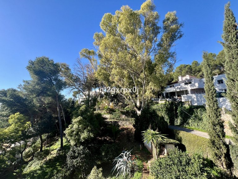 Villa for Sale in Marbella, Malaga 37