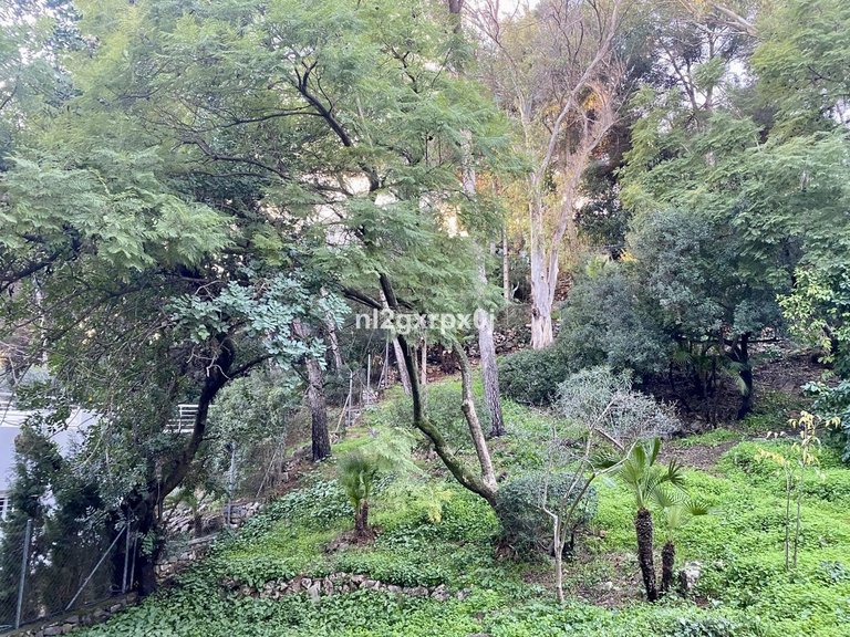 Villa for Sale in Marbella, Malaga 55