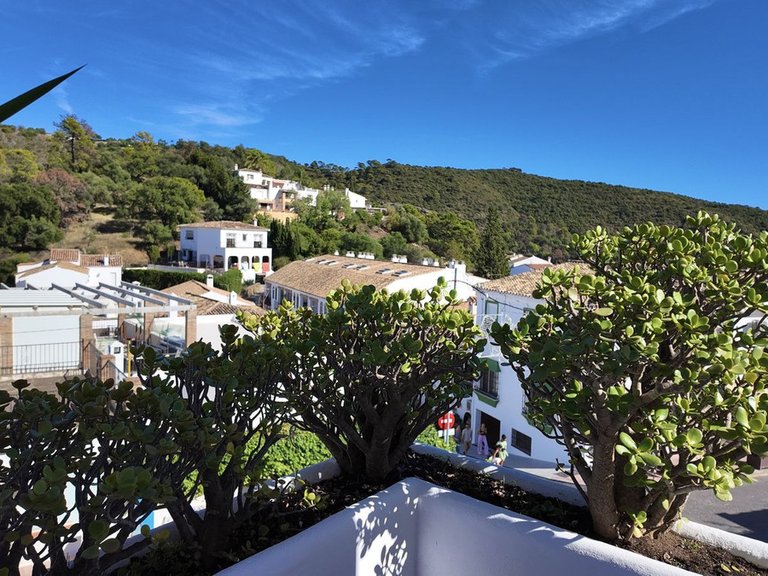 Apartment for Sale in Benahavís, Malaga 39
