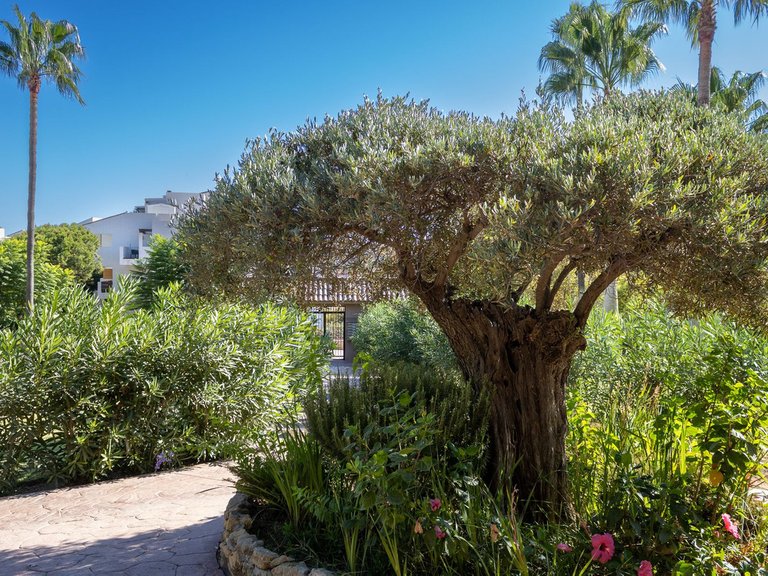 Apartment for Sale in La Cala De Mijas, Malaga 32
