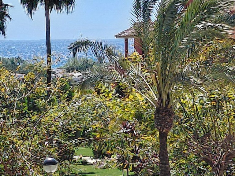 Apartment for Sale in Estepona, Malaga 39