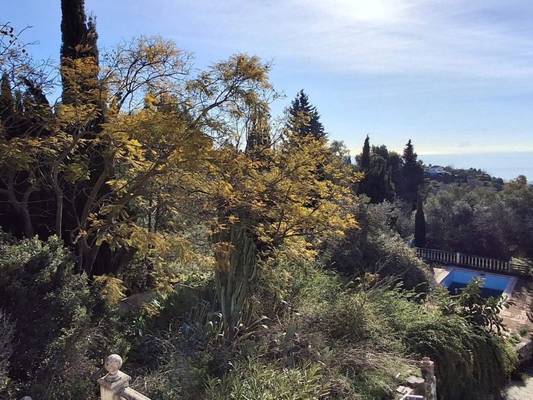 Plot for Sale in Mijas, Malaga 10