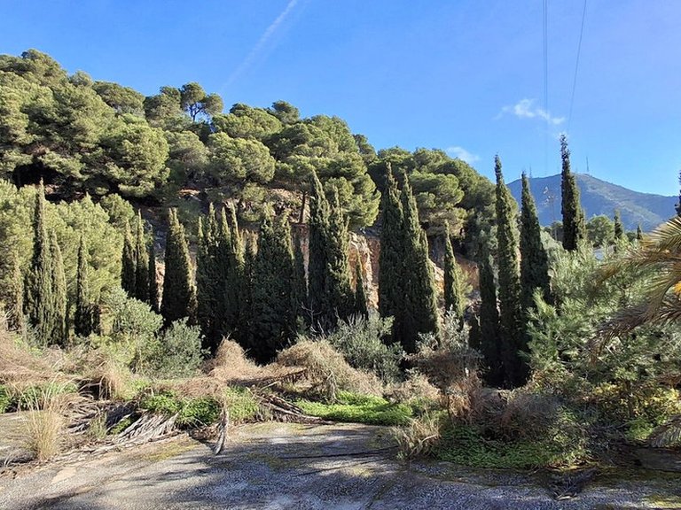 Plot for Sale in Mijas, Malaga 8