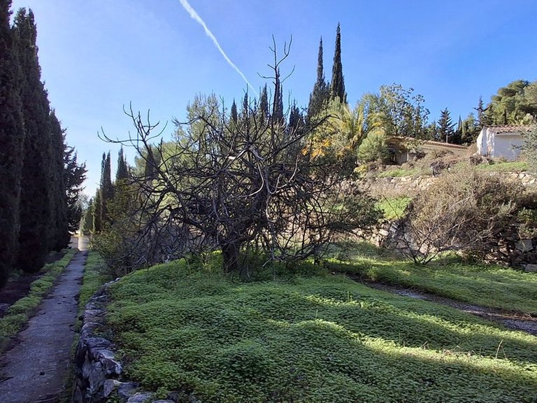 Plot for Sale in Mijas, Malaga 9