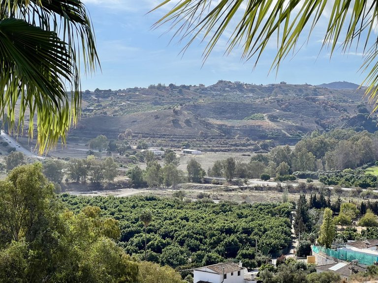 Apartment for Sale in La Cala Hills, Malaga 13