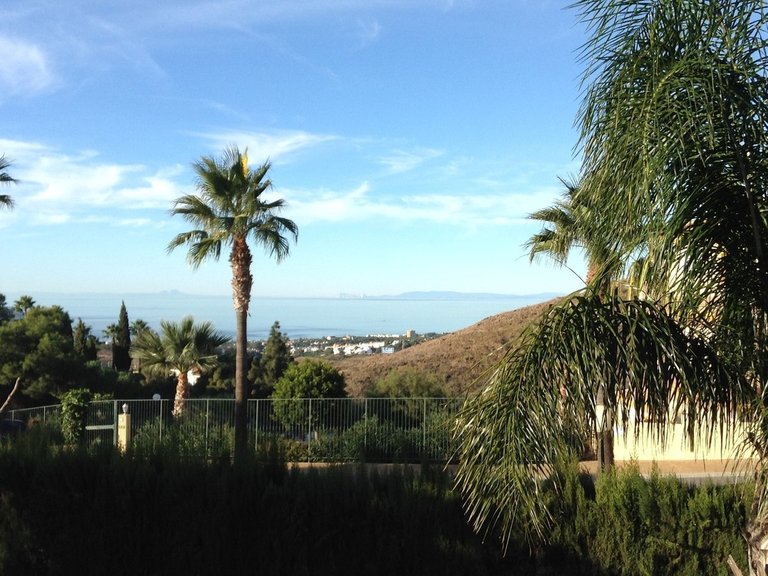Apartment for Sale in Calahonda, Malaga 2