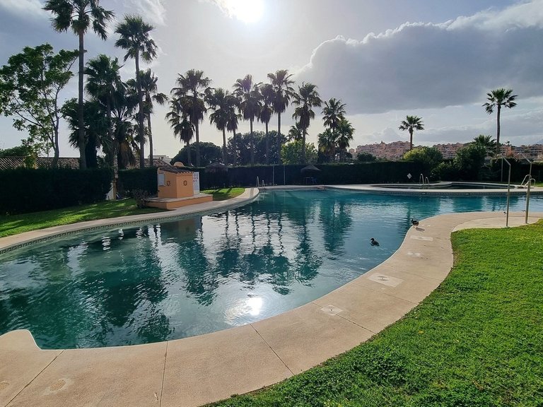 Apartment for Sale in Calahonda, Malaga 25