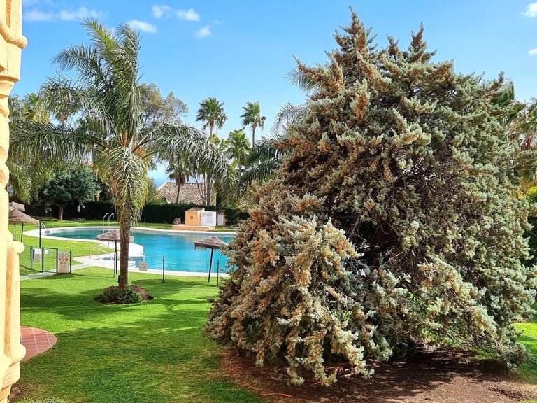 Apartment for Sale in Calahonda, Malaga 28