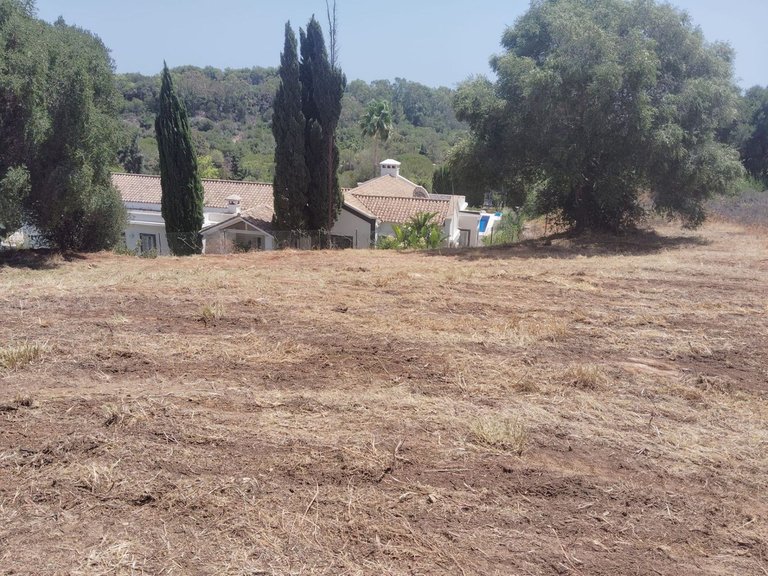 Plot for Sale in Sotogrande Alto, Cadiz 3
