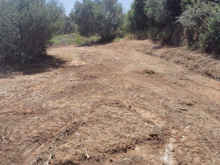 Plot for Sale in Sotogrande Alto, Cadiz 4