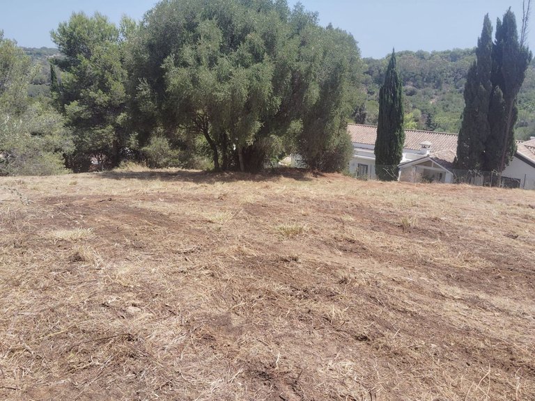 Plot for Sale in Sotogrande Alto, Cadiz 5
