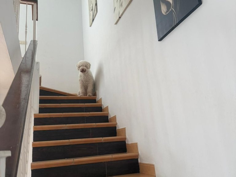Villa for Sale in Benahavís, Malaga 4