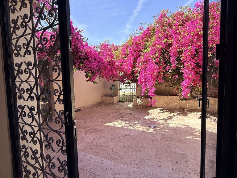 Villa for Sale in Bel Air, Malaga 4
