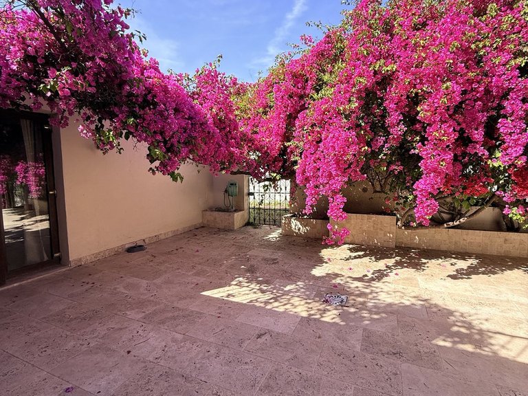 Villa for Sale in Bel Air, Malaga 5