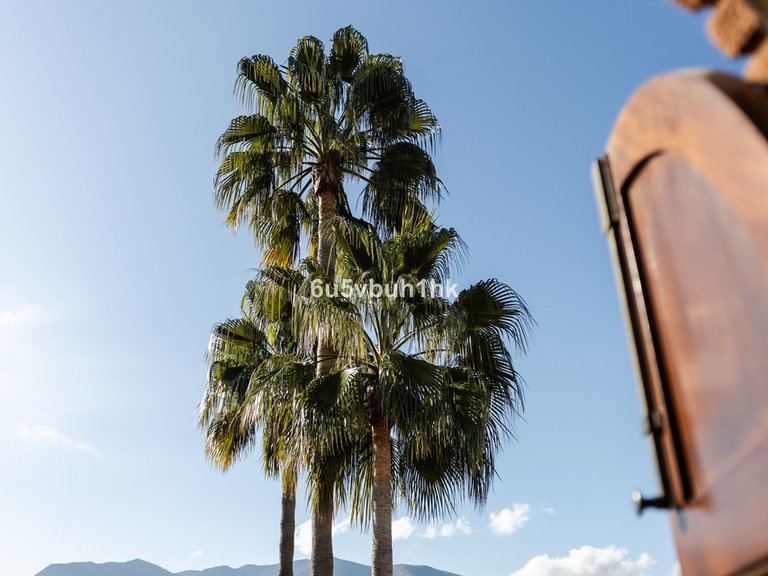 Villa for Sale in Alhaurín El Grande, Malaga 25