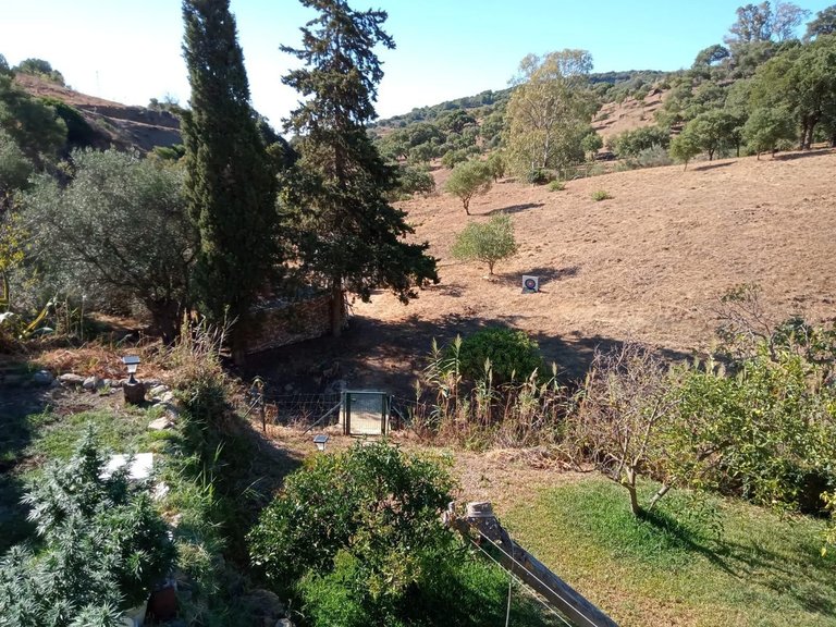 Villa for Sale in Casares, Malaga 11