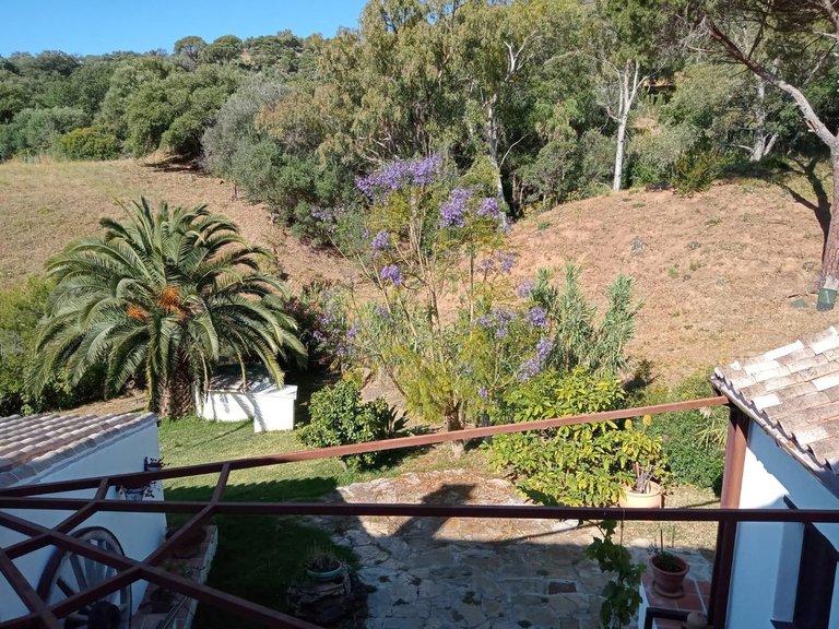 Villa for Sale in Casares, Malaga 12