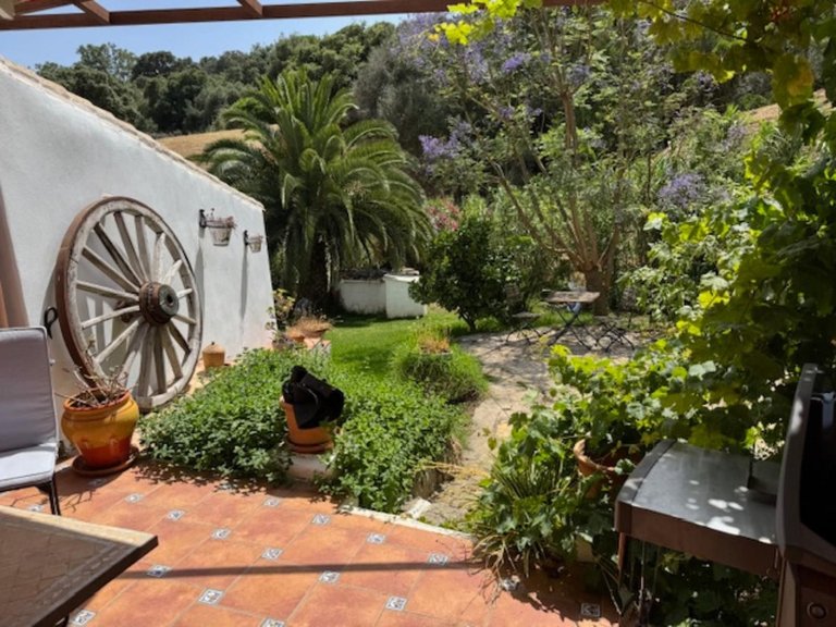 Villa for Sale in Casares, Malaga 22