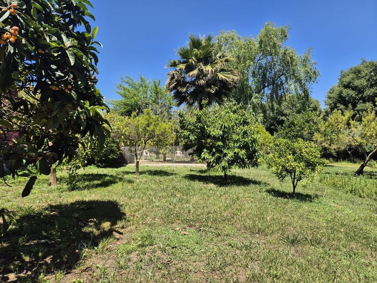 Villa for Sale in Alhaurín El Grande, Malaga 31