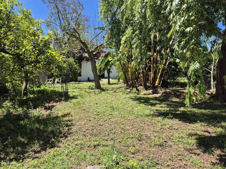Villa for Sale in Alhaurín El Grande, Malaga 33
