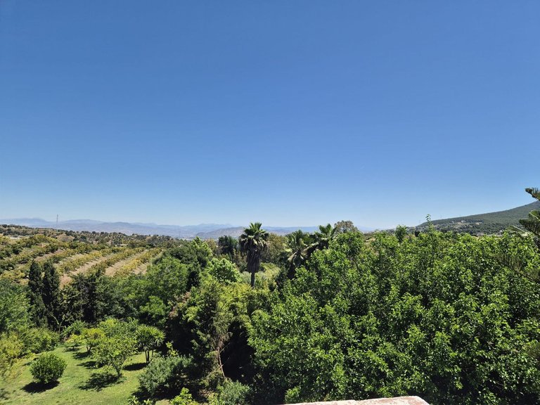 Villa for Sale in Alhaurín El Grande, Malaga 50