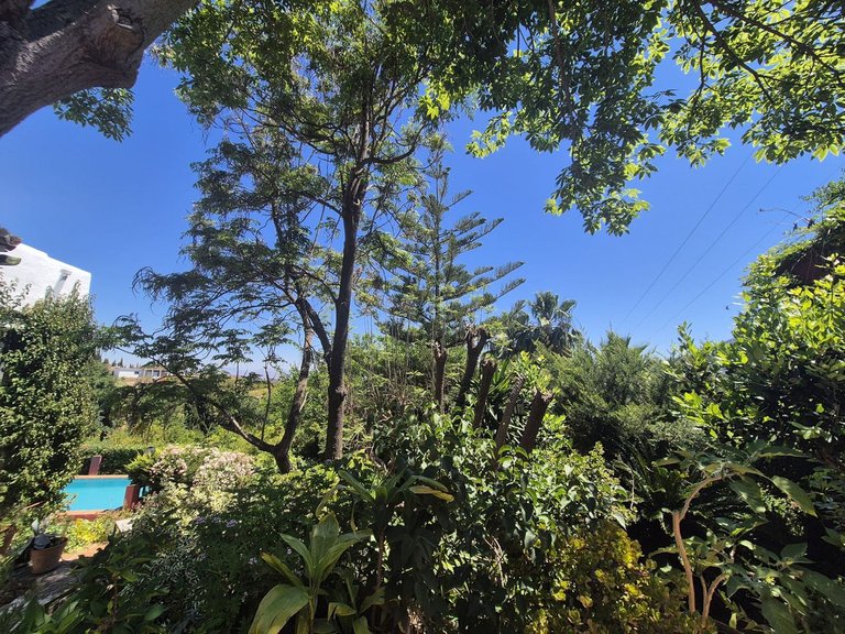 Villa for Sale in Alhaurín El Grande, Malaga 51