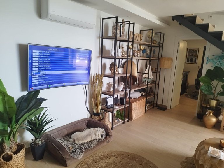 Villa for Sale in Estepona, Malaga 19