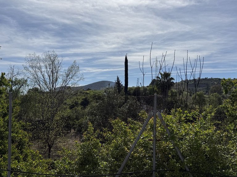 Villa for Sale in Coín, Malaga 16