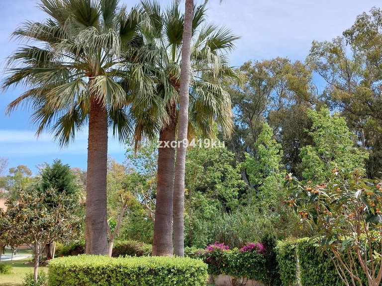 Apartment for Sale in Carib Playa, Malaga 20