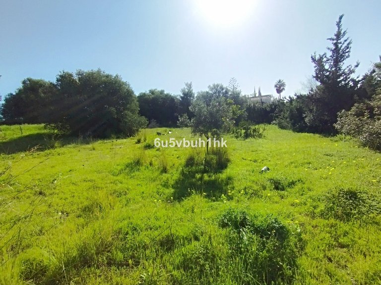 Plot for Sale in Bel Air, Malaga 14