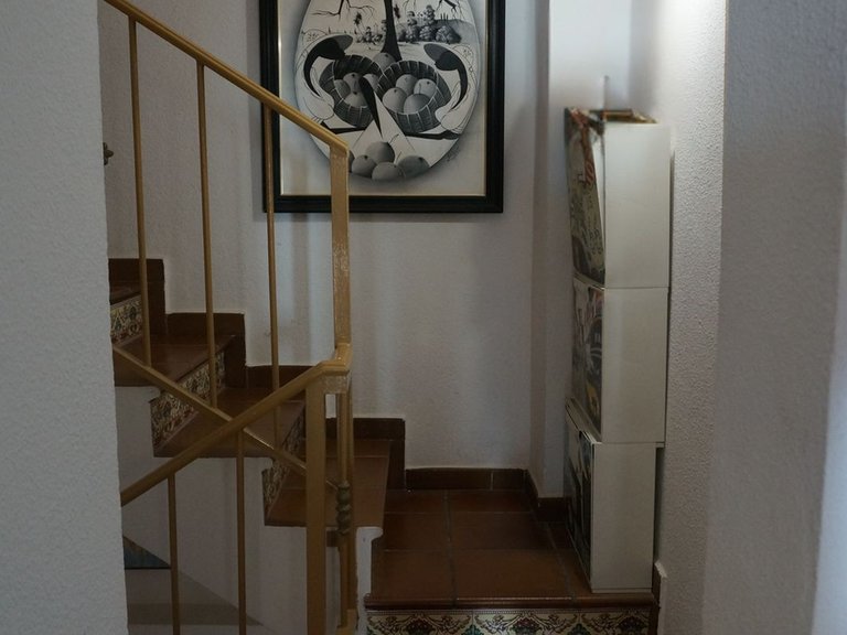Villa for Sale in Torremolinos, Malaga 17