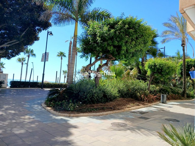 Villa for Sale in Estepona, Malaga 6