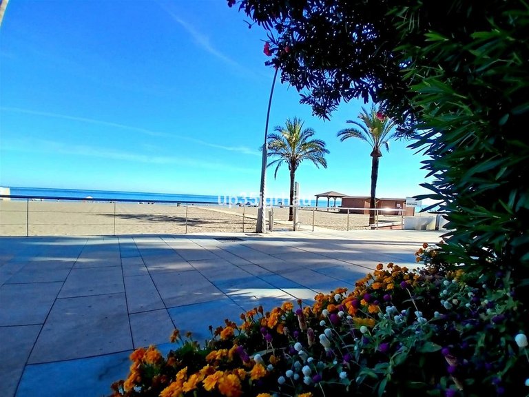 Villa for Sale in Estepona, Malaga 7