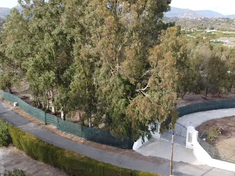 Plot for Sale in Estepona, Malaga 5