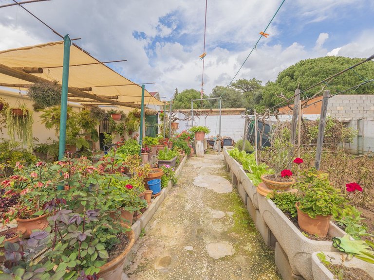 Villa for Sale in Las Chapas, Malaga 14
