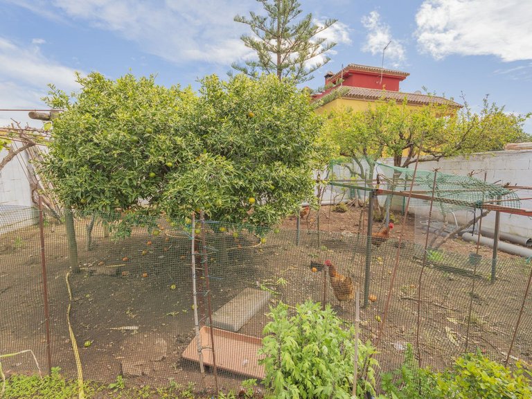 Villa for Sale in Las Chapas, Malaga 15