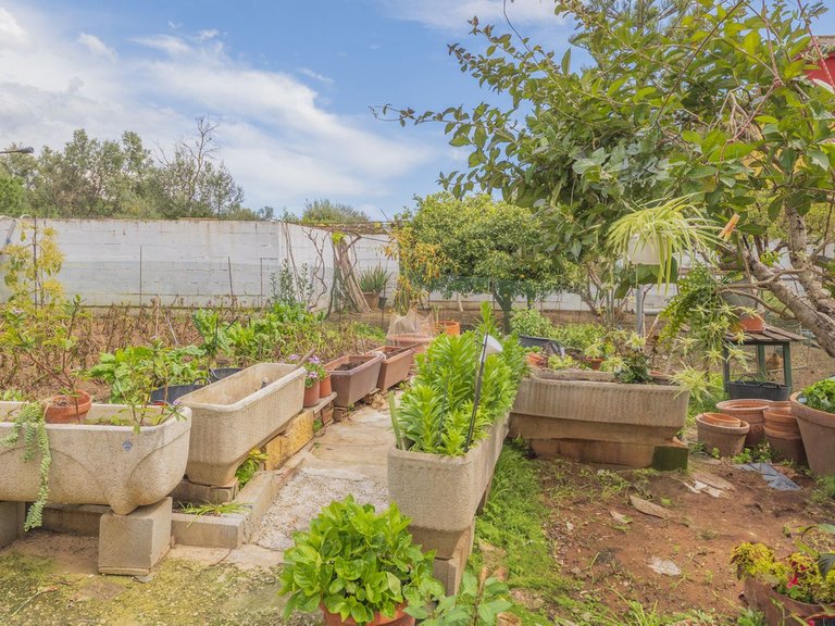 Villa for Sale in Las Chapas, Malaga 17