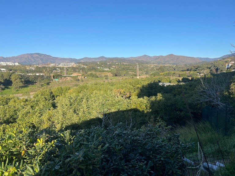 Villa for Sale in Estepona, Malaga 17