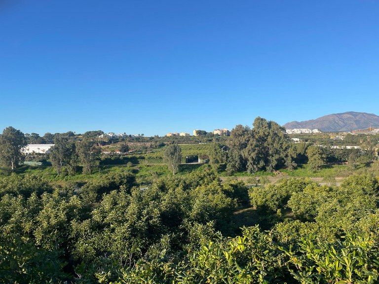 Villa for Sale in Estepona, Malaga 18