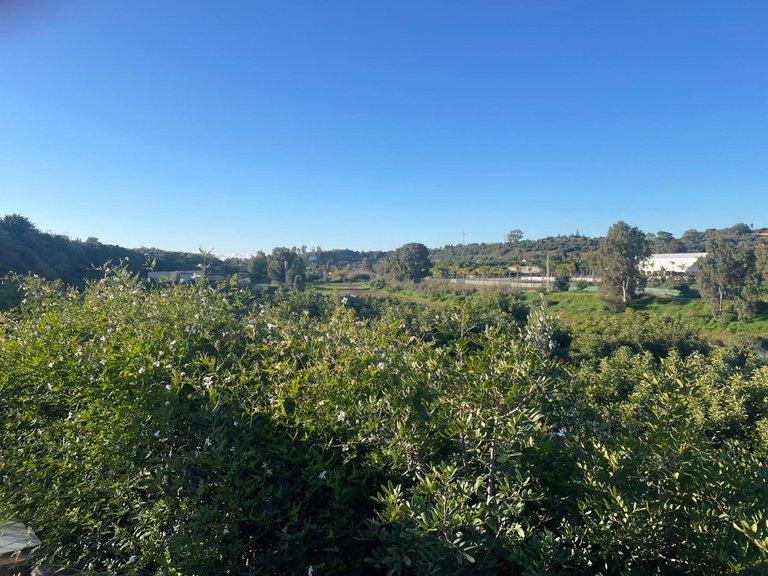 Villa for Sale in Estepona, Malaga 19