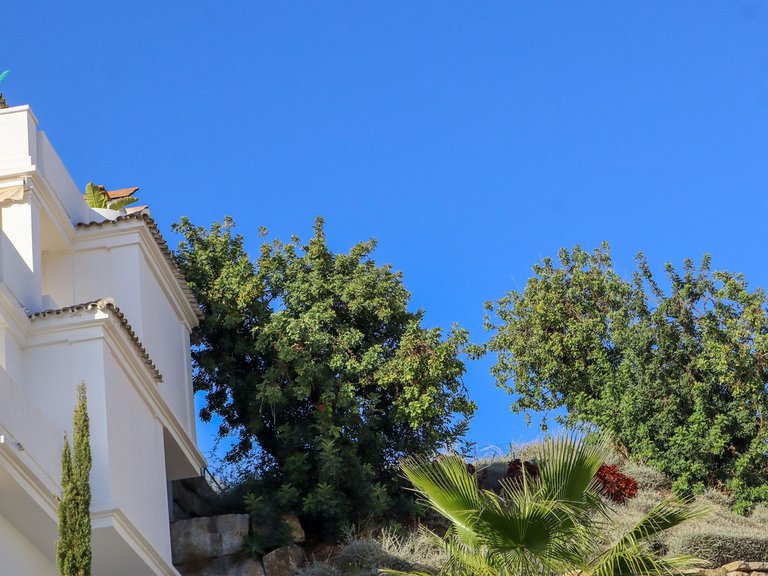 Apartment for Sale in Nueva Andalucía, Malaga 78