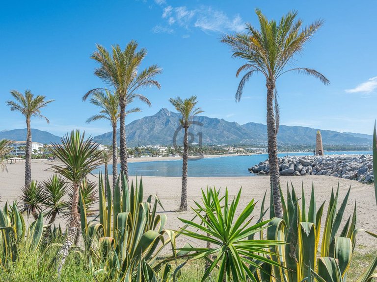 Villa for Sale in Nueva Andalucía, Malaga 43