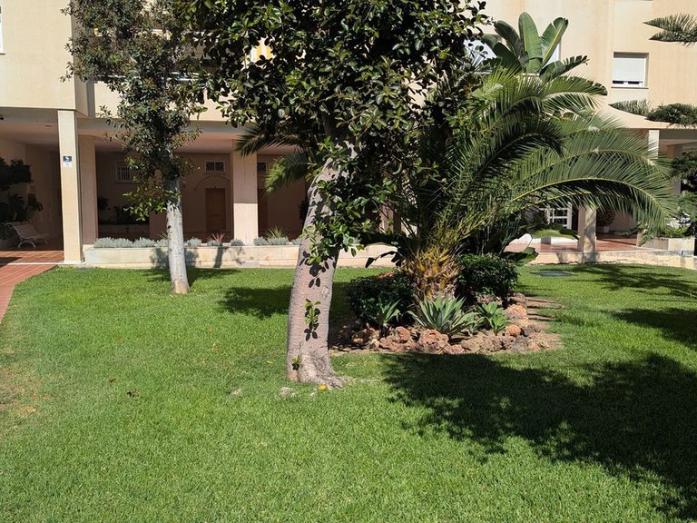 Apartment for Sale in Limonar, Malaga 32